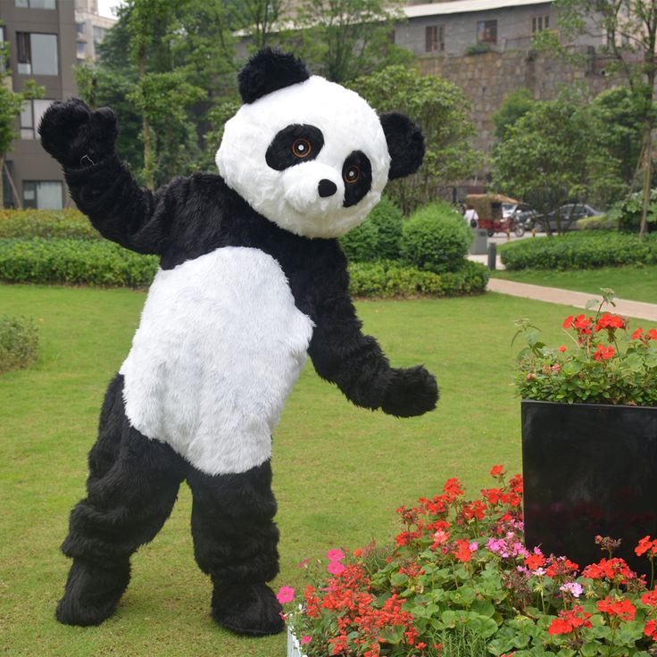 Panda Mascot